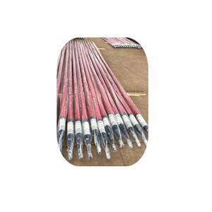 RWAM Bomba de Varilla de Ventosa para Producción Eficiente de Petróleo - Product Image 1