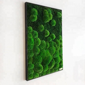 Quadro d'Arte Murale con Muschio <span class=keywords><strong>Naturale</strong></span> Preservato, Decorazione per la <span class=keywords><strong>Casa</strong></span> Ispirata al Feng Shui per Diwali - Product Image 1