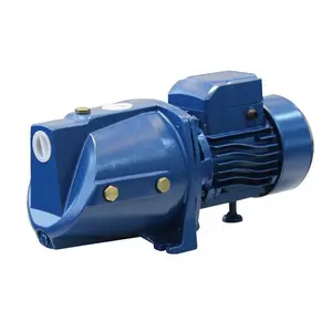 High Quality JSW Series 220V/50Hz Single Phase Injection Water Pump