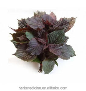 Especias secas y té de alta calidad, hoja de Perilla natural, hojas de perilla total - Product Image 4