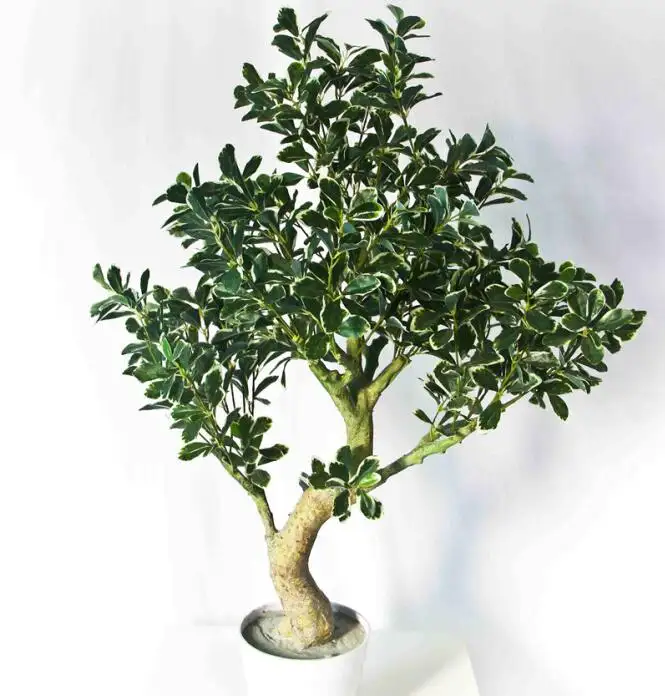 Hot bonsai, piante ornamentali, alberi, tutti i tipi di piante artificiali