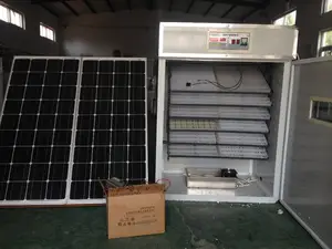 1056 ovos de galinha incubadora automática com painel de energia solar e bateria