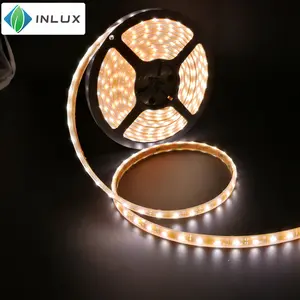 Led Strip Light Ip68 High Brightness Warm White 3528 60leds 12V/24V IP68 Underwater Waterproof Flex Strip LED Light