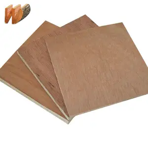 Pabrik Kualitas Terbaik Kayu Lapis Birch Penuh Rusia B/BB 100% Kayu Lapis Birch