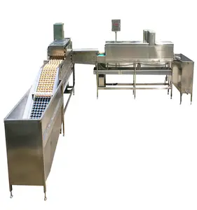6 rows conveyor duck egg or salted egg washing machine