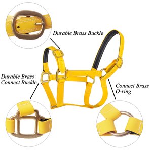 Cabeza de caballo personalizada, productos impermeables de diseñador, de PVC, Halter - Product Image 3