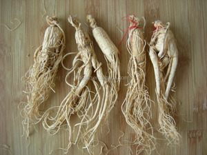 8 yıl Fabrika Kaynağı amerikan <span class=keywords><strong>ginseng</strong></span> kökü Ekstresi - Product Image 2