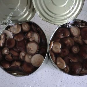 Mikadp שימורים שיטאקי פטריות פרוסה מלח בסין - Product Image 2