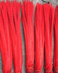 Màu Sắc khác nhau Pheasant <span class=keywords><strong>Feather</strong></span> Nhà Máy cung cấp Tẩy Trắng và Nhuộm Ringneck Gà Lôi Đuôi Lông Màu Xanh Lá Cây - Product Image 5