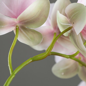 Orquídeas artificiales decorativas para boda, arreglo de flores, orquídeas artificiales, <span class=keywords><strong>Phalaenopsis</strong></span>, <span class=keywords><strong>precio</strong></span> de fábrica, venta al por mayor - Product Image 2