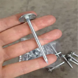 alibaba good suppliers Umbrella head roofing nail for Dubai Markets