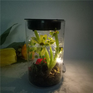 Cylinder Glass Light-up <strong>Terrarium</strong> <strong>Kit</strong> for Kids with LED Solar Light Lid - Product Image 2