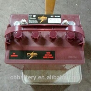 골프 카트용 8V 170Ah T875 딥 사이클 배터리 - Product Image 3