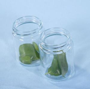 Pot <span class=keywords><strong>de</strong></span> culture <span class=keywords><strong>de</strong></span> tissu, vente en gros, recyclage bon marché, graines <span class=keywords><strong>de</strong></span> sacs en verre, orchidées, cordycos, sinopsis, avec couvercle respirant - Product Image 5