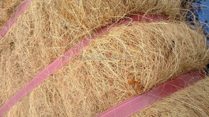 วิลาโคนิค เวียดนาม ใยมะพร้าวฟอกขาว ยาว 25 ซม. รุ่น 1202 - Product Image 3