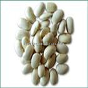 Ekstrak <span class=keywords><strong>Phaseolus</strong></span> Vulgaris ekstrak Phaseolin <span class=keywords><strong>2</strong></span>% bubuk Ekstrak kacang ginjal putih 10:1 Phaseolin - Product Image 2