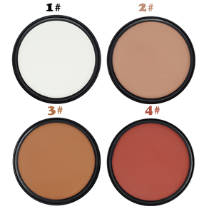 Nouveau style poudre bronzante Blush fard à joues Palette de maquillage bronzant et surligneur Contour ombrage Contour Palette poudre - Product Image 5