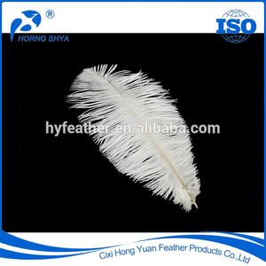 Plumas produttore fabbrica direttamente fornitore di piume bianche decorazioni grandi - Product Image 2