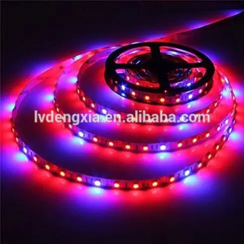 Lampu Strip pertumbuhan tanaman LED 5050 smd tahan air spektrum penuh lampu tumbuh 4:1 3:1 merah biru DC12V untuk lampu Phyto bunga akuarium