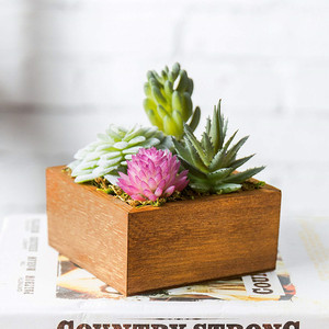 En gros <span class=keywords><strong>Pas</strong></span> <span class=keywords><strong>Cher</strong></span> Maison Décoration En <span class=keywords><strong>Bois</strong></span> Boîtes Planteur pour Intérieur - Product Image 2