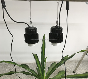 Kingbrite Unique LED Élèvent La lampe avec vero29 gen7 cob - Product Image 4