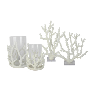 卸売アクリルベース樹脂製サメの歯化石彫刻装飾品 - Product Image 5