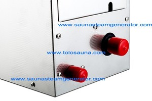220 V Portable machine à vapeur Samall générateur de vapeur - Product Image 5