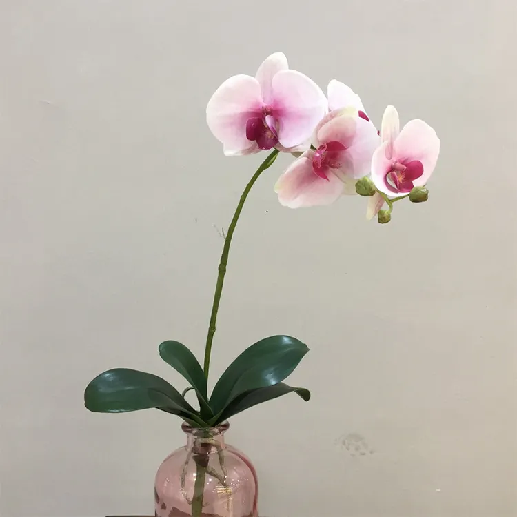 Best Selling Pink Phalaenopsis Artifical Orchid With 3 Flower Buds