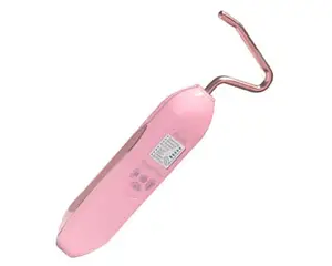 Portable Skin Care Device Charming Iron (PLF-1350)