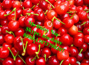 Machine de classement de tomates <span class=keywords><strong>cerises</strong></span> prix/taille machine de tri de fruits par diamètre de fruits/petite taille machine de classement de fruits à grande vitesse - Product Image 6