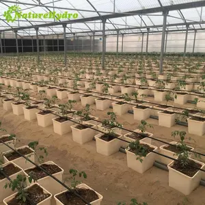 High quality dutch bucket/bato bucket used greenhouse farmes for sale