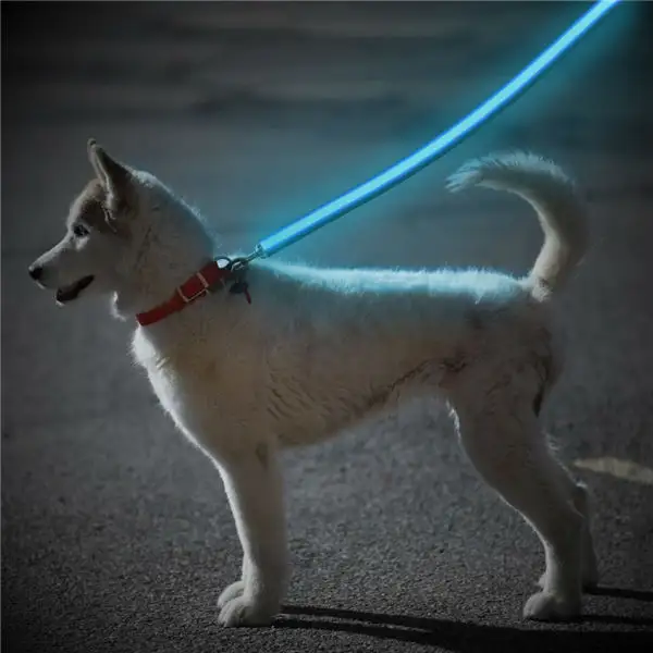 Аксессуары для собак в Китае Поставка домашних животных Led Dog Leash Оптовая продажа