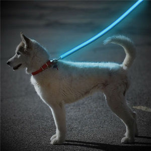 nitey leash amazon