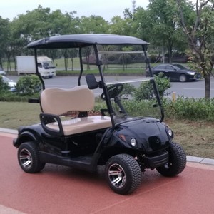 <span class=keywords><strong>Mini</strong></span> Carro de <span class=keywords><strong>Golf</strong></span> Eléctrico Recargable de 2 Plazas para Club de <span class=keywords><strong>Golf</strong></span> - Product Image 2