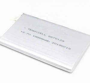 8870129 10000 мАч 3,7 в большой внешний аккумулятор для скутера зарядное устройство модуль зарядное устройство литий-полимерный ионный аккумулятор - Product Image 1