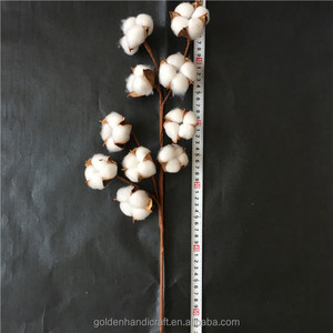 10 tiges de bourgeons de coton blanc naturel de 21 pouces, fleurs séchées conservées, pour Noël, mariages, Halloween, remises de diplômes, disponibles gratuitement - Product Image 5