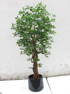 High Artificial /<strong>fake</strong>/imitation <strong>Perfume</strong> or Bonsai/potted Plant