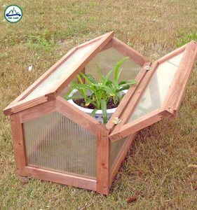 Mini <span class=keywords><strong>Invernadero</strong></span> de Madera Económico, Fácil de Montar, Antiséptico y Ecológico para Jardín - Product Image 6
