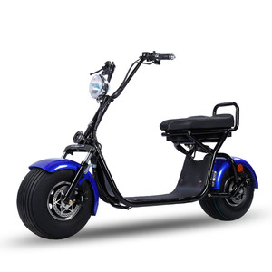 New <strong>Model</strong> X1 <strong>EEC</strong> COC Europe Holland Warehouse Citycoco Electric Scooter Motorcycle - Product Image 6