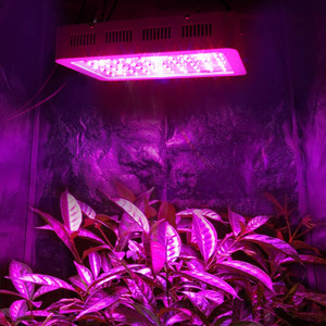 Le plein Spectre LED Élèvent Des Lumières <span class=keywords><strong>Plantes</strong></span> D'intérieur Doubles Puces MINI 300 W a mené la lampe de Croissance - Product Image 4