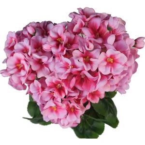 Nuevo diseño de flor Artificial, flor de seda en maceta, geranio Artificial rojo 2019 - Product Image 3