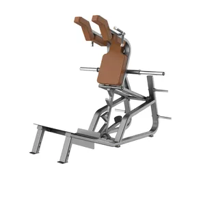 Egzersiz makinesi spor salonu Shandong AXD-5065 süper squat