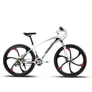 중국 수입 제품 29 인치 산악 자전거 지방 타이어 그룹 29 산악 자전거 디스크, 자전거 남자 산악 자전거