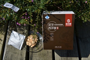 Muestra shipping ginseng instant tea herbal Lingzhi reishi mushroom Ganoderma lucidum - Product Image 4