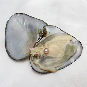 7-8mm wholesale the sea Akoya mussel is packed with round beads vacuum packed freshwater pearl oyster mussel