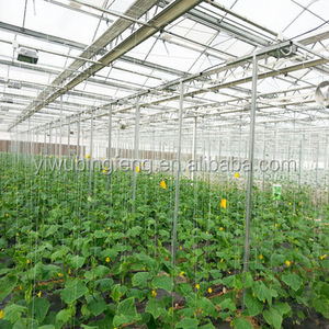 温室塑料绳包装PP打包机麻线番茄挂绳 - Product Image 6