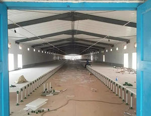 Tavuk çiftliği uygulama kanatlı plastik döşeme saf hammadde plastik tavuk zemin - Product Image 5