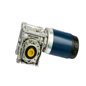 DC motoriduttore a vite senza fine 12 V 24 V motore ad alta coppia