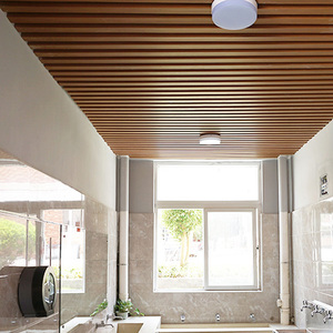 Garnie Boutique Plafond Intérieur Conception de Toit - Product Image 6