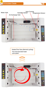 Incubateur à œufs de poulet YZ-24A <span class=keywords><strong>HHD</strong></span> Factory <span class=keywords><strong>Mini</strong></span> <span class=keywords><strong>24</strong></span> œufs - Product Image 3